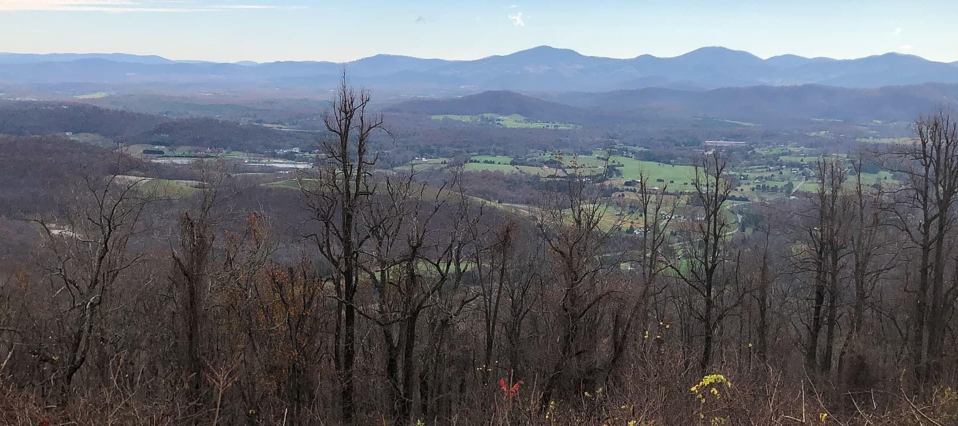 A panoramic view of rolling hills and mountains under a clear sky, with bare trees in the foreground.