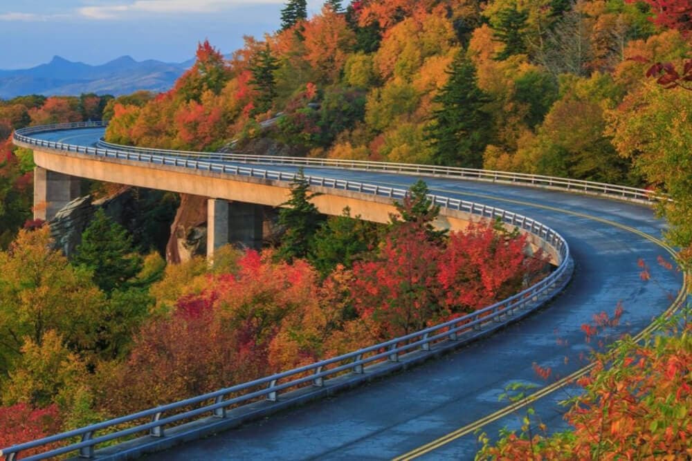 A winding road curves through vibrant autumn foliage.