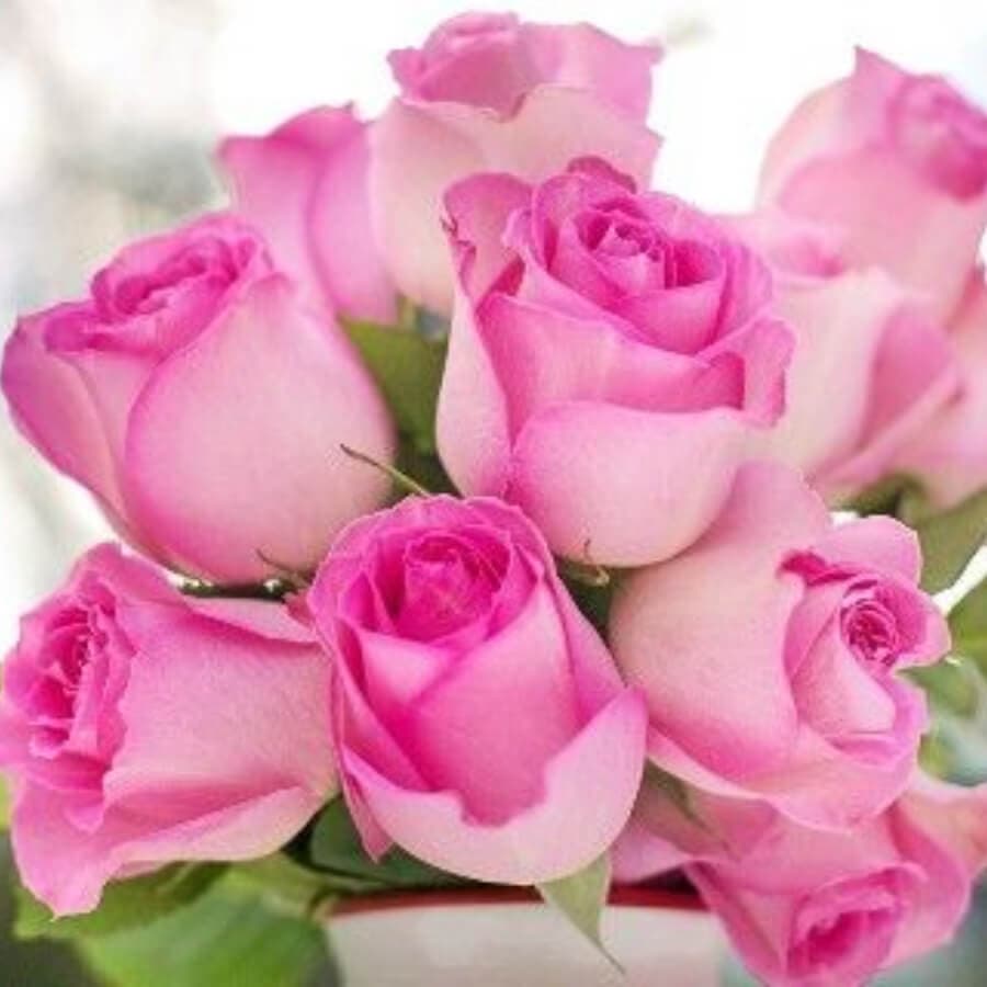 A bouquet of vibrant pink roses with lush green leaves.