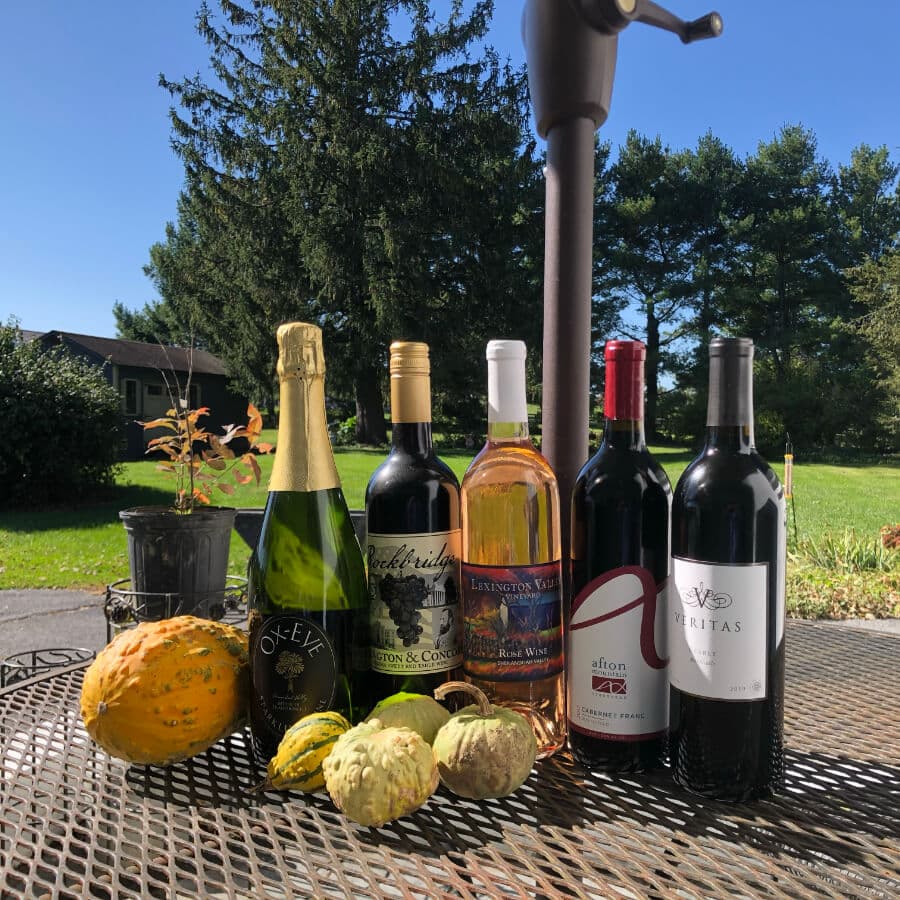 A selection of wine bottles and gourds displayed on a table outdoors with trees in the background.