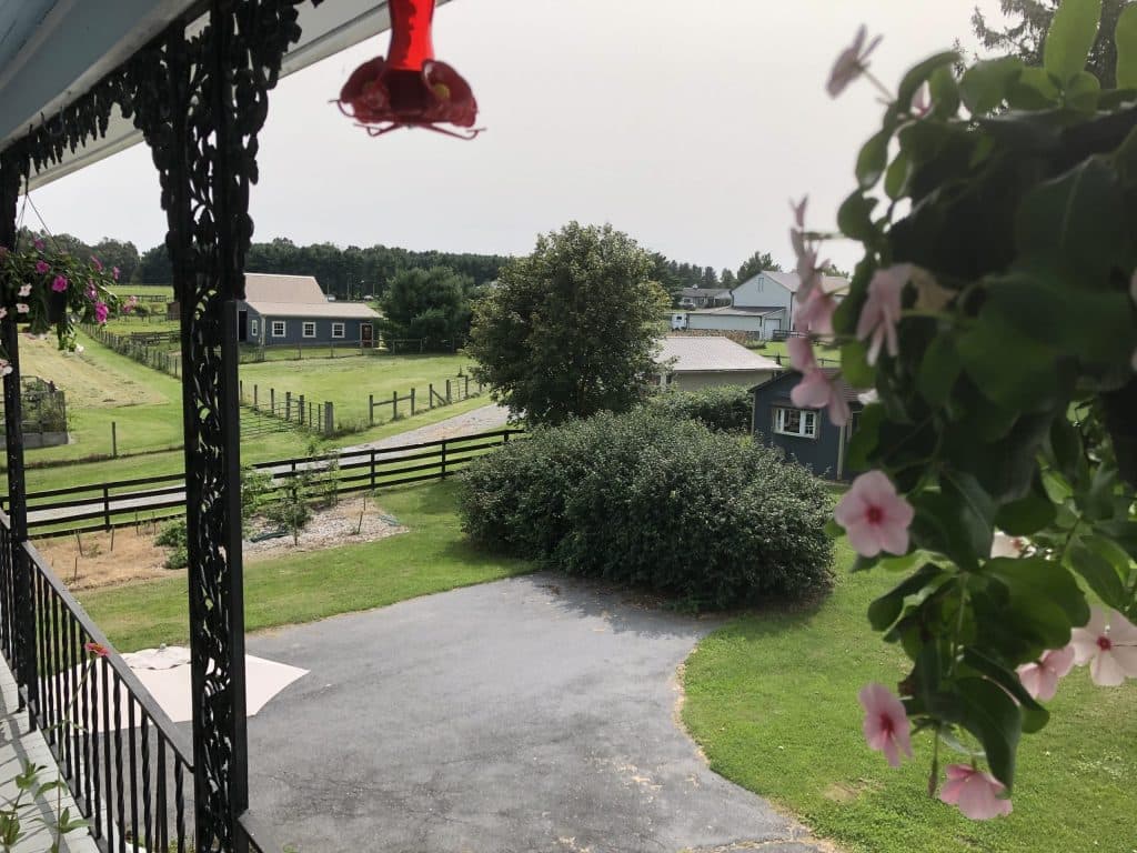 View from balcony of the farm, with barn and paddock