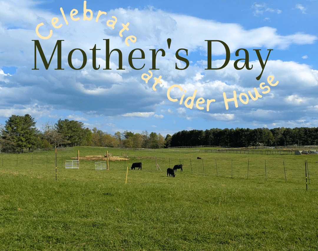 Green pasture with grazing cows and a fence under a blue sky; overlay reads 'Celebrate Mother's Day at Cider House'.