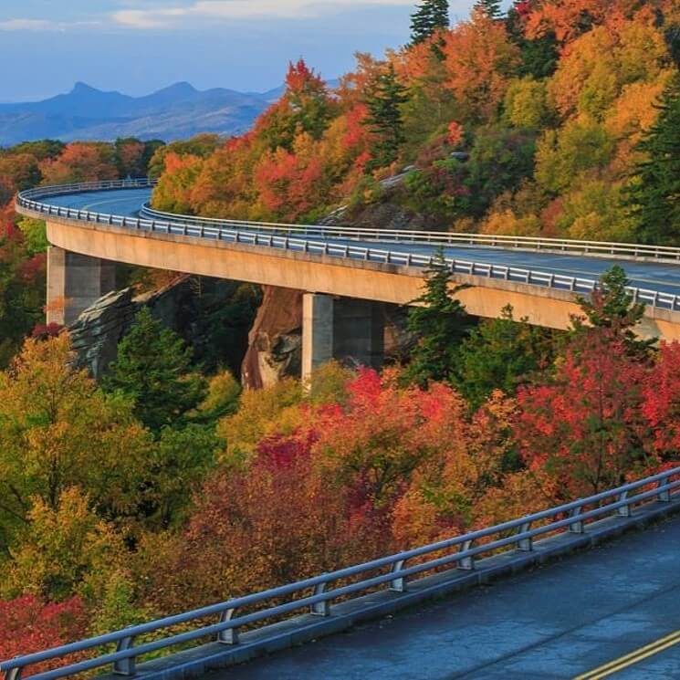 Empty curvy road surrounded by fall colored trees with mountains in the background